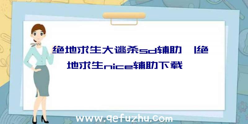 「绝地求生大逃杀sd辅助」|绝地求生nice辅助下载